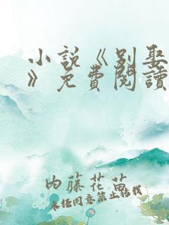 小说《别娶她了》免费阅读