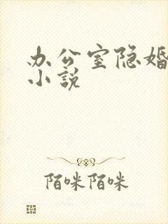 办公室隐婚类似小说