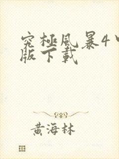 究极风暴4中文版下载