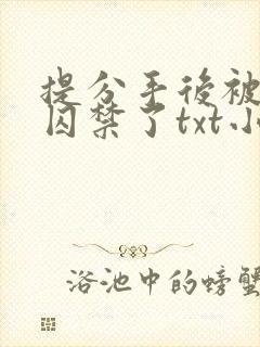 提分手后被男友囚禁了txt小说