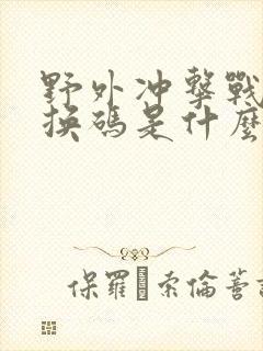 野外冲击战的兑换码是什么