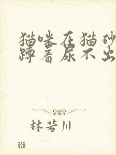 猫咪在猫砂盆里蹲着尿不出来