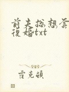 前夫总想套路我复婚txt