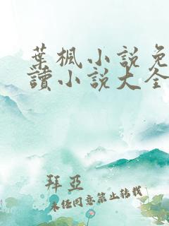 叶枫小说免费阅读小说大全