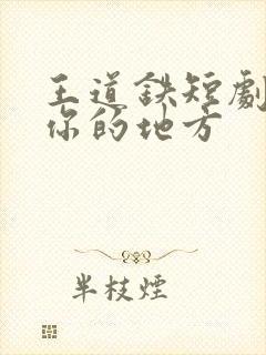 王道铁短剧去有你的地方