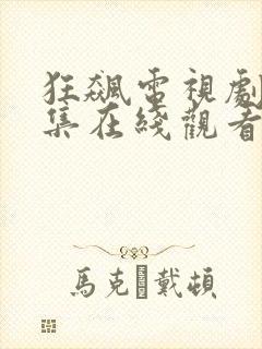 狂飙电视剧40集在线观看免费追剧网