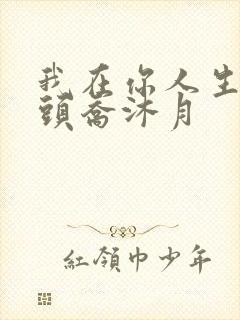 我在你人生的尽头乔沐月