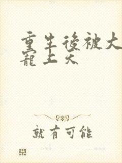 重生后被大佬们宠上天