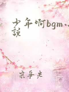 少年啊bgm小说