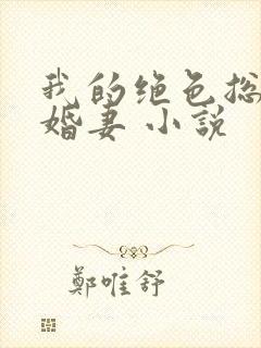 我的绝色总裁未婚妻 小说