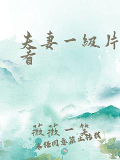 夫妻一级片免费看