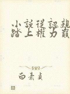 小说从认亲开始踏上权力巅峰彭远征正版