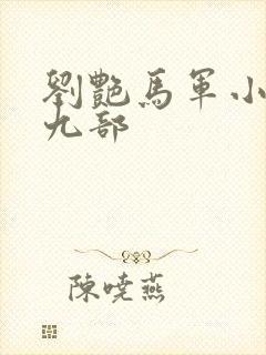 刘艳马军小说第九部