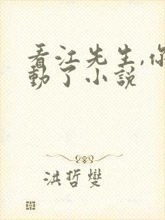 看江先生,你心动了小说