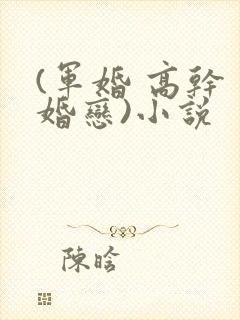 (军婚 高干 婚恋)小说