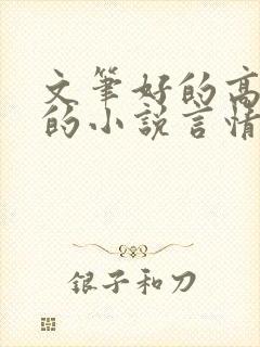 文笔好的高质量的小说言情