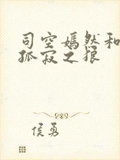 司空嫣然和叶凡孤寂之狼