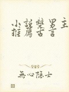 小说双男主男友推荐古言