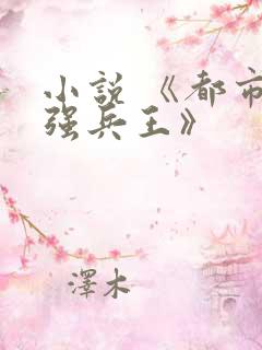 小说 《都市最强兵王》