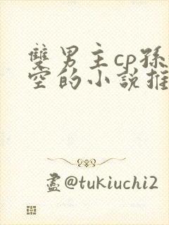 双男主cp孙悟空的小说推荐