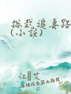 总裁追妻路漫漫(小说)