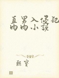 直男入侵犯男男肉肉小说