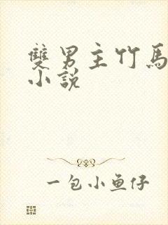 双男主竹马竹马小说