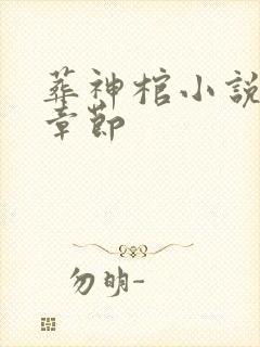 葬神棺小说最新章节