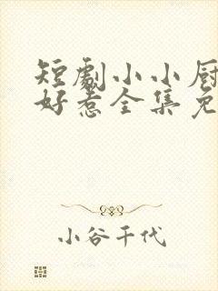 短剧小小厨娘不好惹全集免费观看