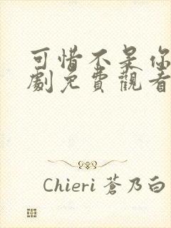 可惜不是你电视剧免费观看完整版