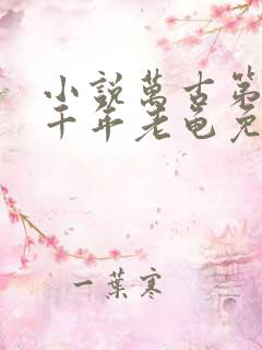 小说万古第一剑千年老龟免费阅读