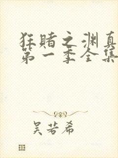 狂赌之渊真人版第一季全集免费观看