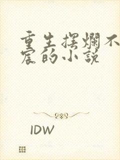 重生摆烂不成宁宸的小说