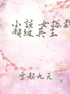 小说 女总裁的超级兵王
