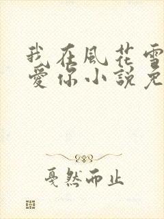 我在风花雪夜里爱你小说免费阅读