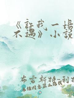 《许我一场经年不遇》小说免费阅读