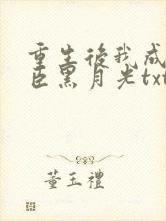 重生后我成了奸臣黑月光txt