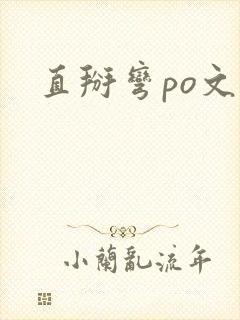 直掰弯po文