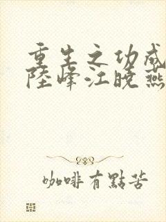 重生之功成名就陆峰江晓燕全本