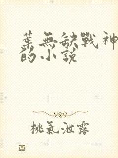 叶无缺战神狂飙的小说