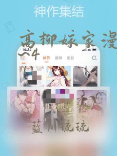 高柳嫁家漫画1~4：结局+番外