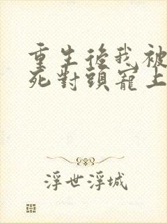 重生后我被渣男死对头宠上天短剧