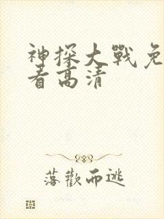 神探大战免费观看高清