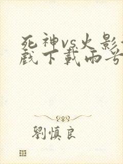 死神vs火影游戏下载雨兮改
