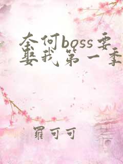 奈何boss要娶我第一季全集无删减版