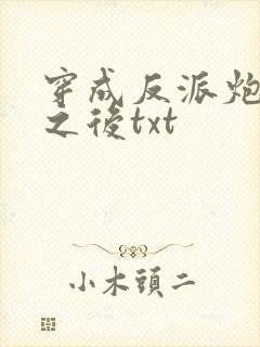 穿成反派炮灰攻之后txt
