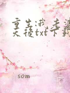 重生:我老婆是天后txt下载