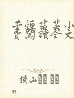 子恒苗芸小说免费阅读全文最新章节