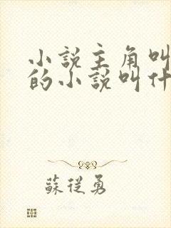 小说主角叫楚枫的小说叫什么名字