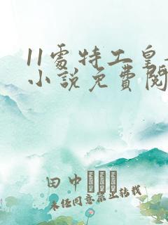 11处特工皇妃小说免费阅读